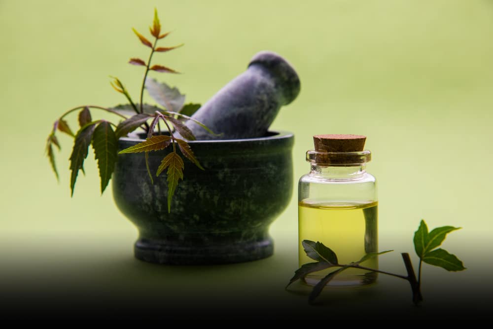 The Best Ayurvedic Oil For Body Pain