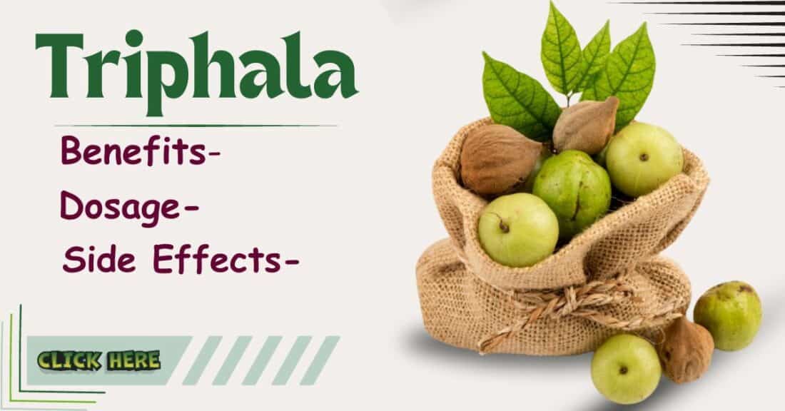 Triphala Benefits, Side Effects & Dosage for Amla (Indian gooseberry), Haritaki (Chebulic myrobalan), and Bibhitaki (Belleric myrobalan)