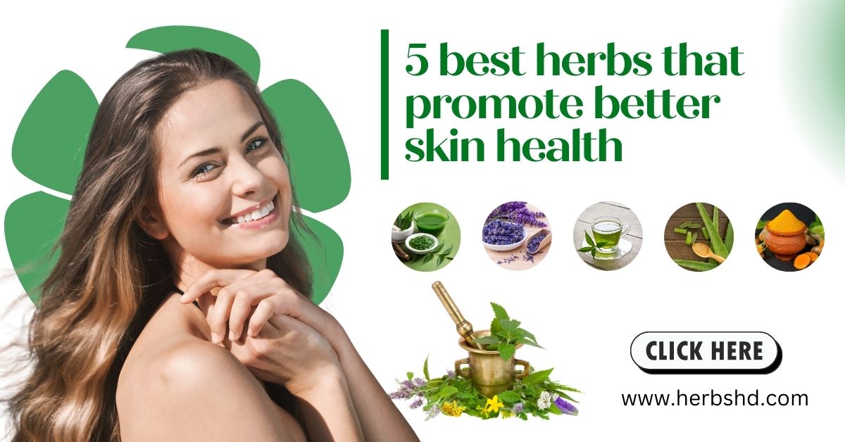 5 best herbs that promote better skin health