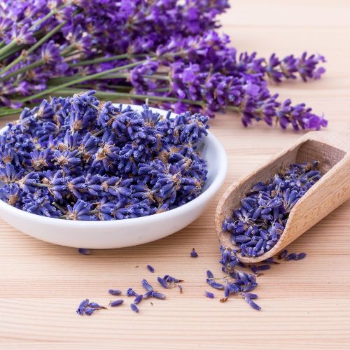 5 best herbs that promote better skin health