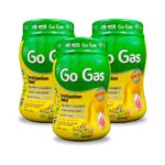 Go Gas Churna For Healthy Digestive System