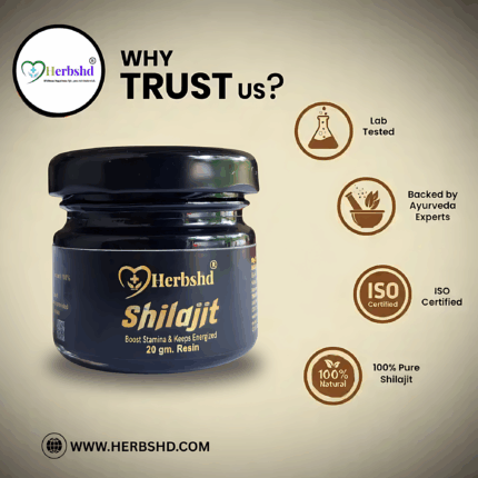 HERBSHD SHILAJIT 20G (3)